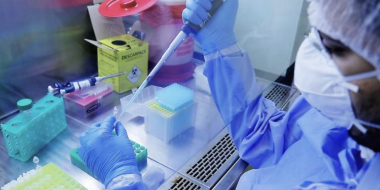OMS batiza nova cepa africana como Variante de Preocupação Omicron