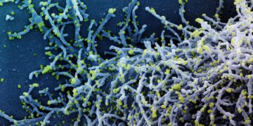 Com nova variante do coronavírus, Europa e Ásia reforçam fronteiras