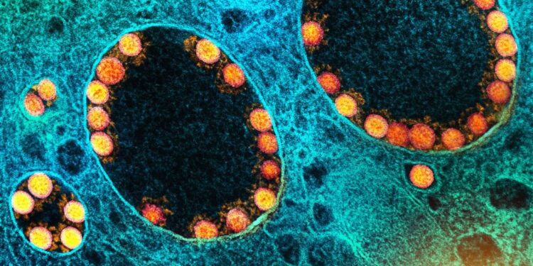 EUA batem recorde da pandemia com mais de 260 mil casos de Covid por dia