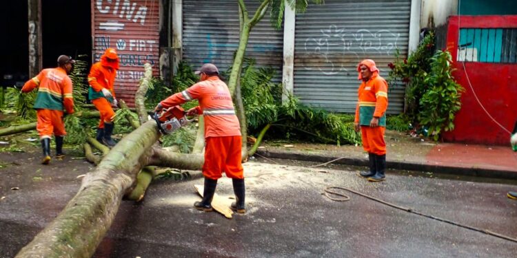 Chuvas permanecem em Manaus, mas sem fortes tempestades, informa Inmet