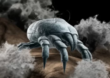 Parte 2: Ácaros Energéticos