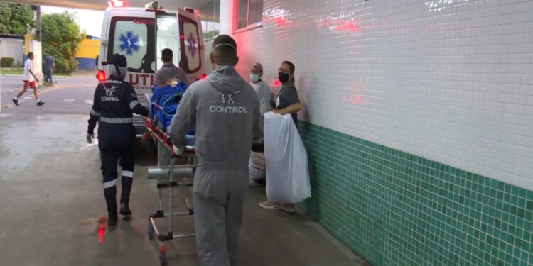 AM soma mais 2,6 mil novos casos de Covid; internações apontam aumento de 750% em 17 dias na capital