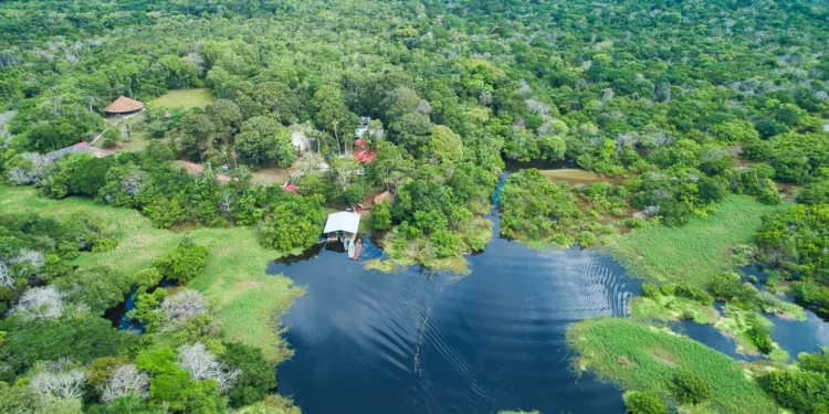 ‘Detox urbano’ na Amazônia está em alta entre os turistas