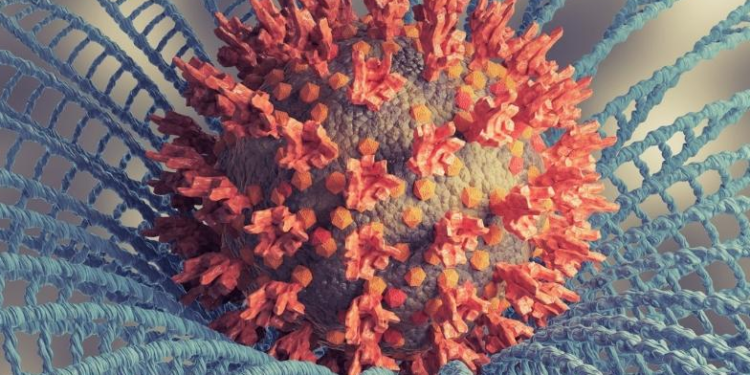 Primeira morte no Brasil pela variante ômicron do coronavírus é confirmada em Goiás