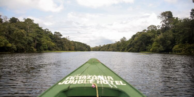 ‘Detox urbano’ na Amazônia está em alta entre os turistas