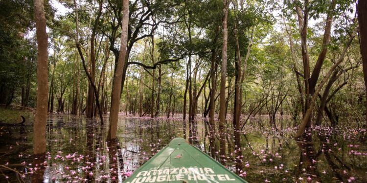 ‘Detox urbano’ na Amazônia está em alta entre os turistas