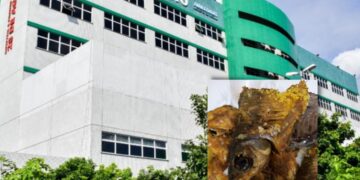 Peixe podre é servido para funcionários da saúde, denuncia sindicalista