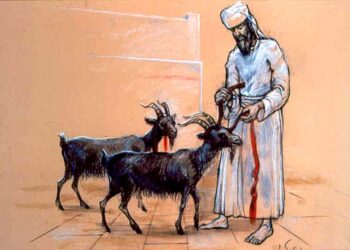 A CULPA DO BODE DO PAGODE!