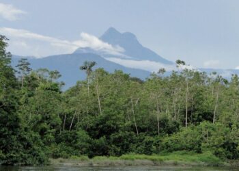 Pico da Neblina: Expedições turísticas ao ponto mais alto do Brasil são retomadas