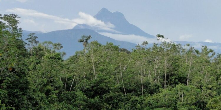 Pico da Neblina: Expedições turísticas ao ponto mais alto do Brasil são retomadas