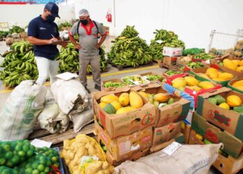 Seduc deve realizar chamada pública para adquirir no mínimo 30% da merenda escolar da agricultura familiar, diz MPF