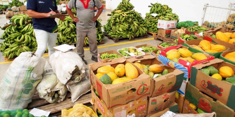Seduc deve realizar chamada pública para adquirir no mínimo 30% da merenda escolar da agricultura familiar, diz MPF