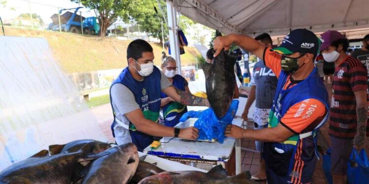 Semana Santa: Feirão do Pescado com preços a partir de R$ 8,90; confira