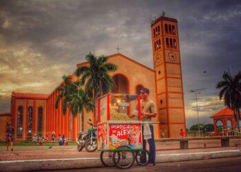 Conselheiro suspende licitações das prefeituras de Parintins e de Barreirinha