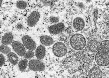 Brasil tem dois casos suspeitos de varíola dos macacos, diz Ministério da Saúde