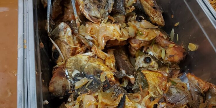 Governo do AM serve cabeça de peixe como refeição dos profissionais da saúde, denuncia sindicalista