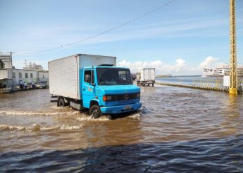 Serviço Geológico do Brasil alerta para cheias no Amazonas