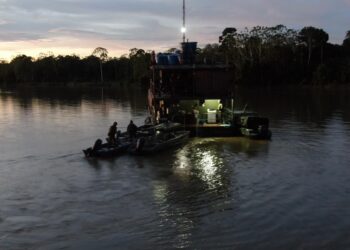 Buscas por Dom Philips e Bruno Pereira permanecem no rio Itaquaí, diz PF