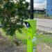 Universidade inaugura primeiro posto para recarga de carros elétricos
