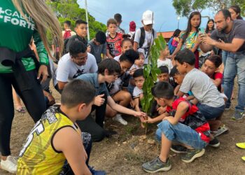 Projeto Galho Forte supera marca de 6 mil árvores plantadas em Manaus, diz vereador