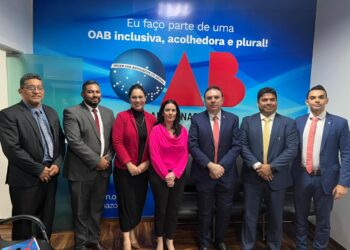 Assistência jurídica por parlatório virtual será retomada no Amazonas, informa ABRACRIM