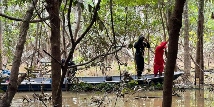 PF prende mais um suspeito de participação no sumiço de indigenista e jornalista inglês