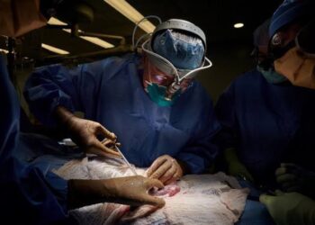 Doação de rins reduz e quase 400 amazonenses entraram na fila para fazer transplante desde 2020