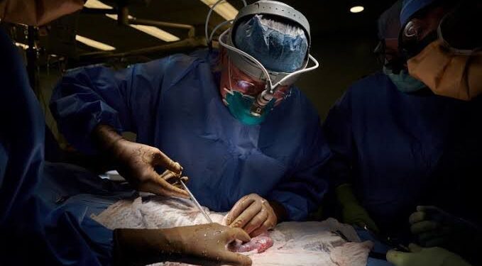 Doação de rins reduz e quase 400 amazonenses entraram na fila para fazer transplante desde 2020