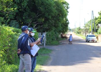 Censo Demográfico: IBGE inicia pesquisa urbanística no Amazonas