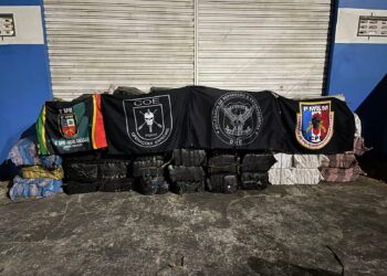 Polícia Federal apreende duas toneladas de drogas no arquipélago de Anavilhanas