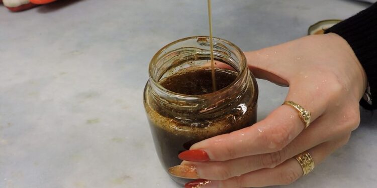 Xarope caseiro: Especialista indica receita fitoterápica que combate sintomas gripais e aumenta a imunidade