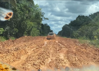 Ibama emite licença prévia para obra do trecho do meio da BR-319