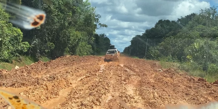 Ibama emite licença prévia para obra do trecho do meio da BR-319