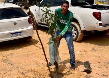 Compromisso de Amom: Árvore 7.537ª é plantada pelo Galho Forte
