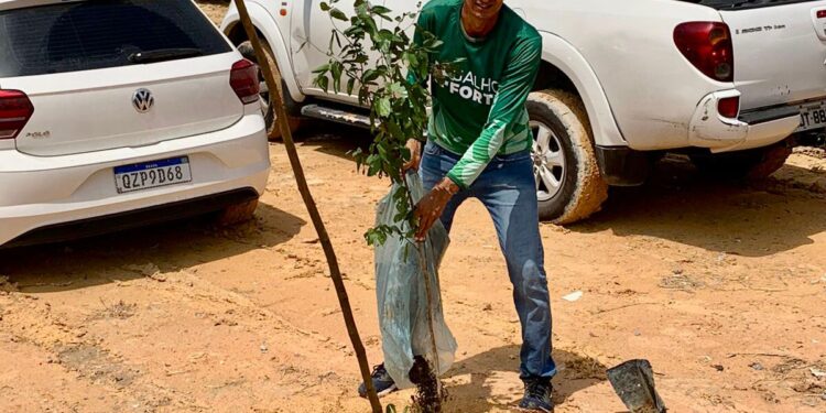Compromisso de Amom: Árvore 7.537ª é plantada pelo Galho Forte