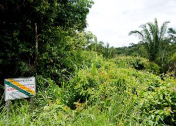 Ministério da Justiça autoriza atuação da Força Nacional em terra indígena no Amazonas