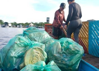 Plataforma AMA lança em Manaus projeto de limpeza de igarapés