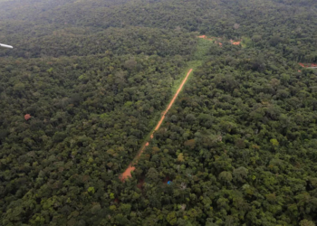 Pistas de pouso irregulares predominam na floresta amazônica, diz New York Times