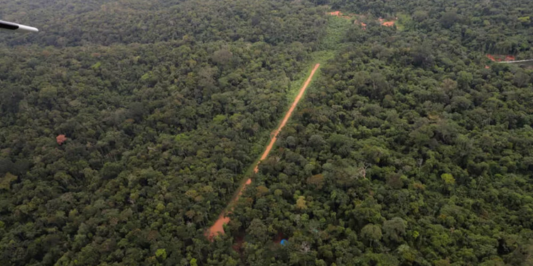 Pistas de pouso irregulares predominam na floresta amazônica, diz New York Times
