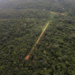 Pistas de pouso irregulares predominam na floresta amazônica, diz New York Times