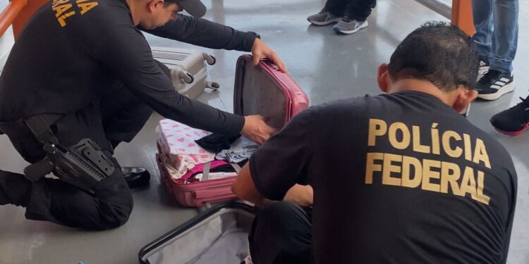 Polícia Federal apreende R$ 78,6 mil em espécie no Porto de Tefé