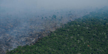 AM é o segundo estado que mais destruiu a Amazônia em setembro, diz Imazon