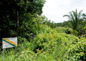 Ministério da Justiça prorroga atuação da Força Nacional em terra indígena no AM