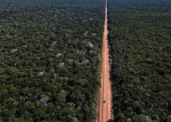 Obras licenciadas irregularmente são suspensas pela Justiça a pedido do MPF