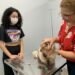 Nilton Lins inaugura hospital veterinário 24h em Manaus