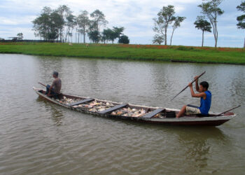 Deputado destaca a importância ambiental e econômica do período defeso