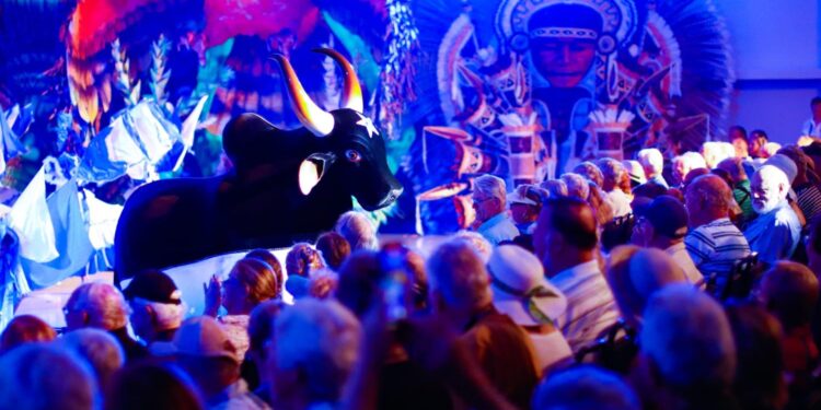 Em Parintins, Caprichoso encanta turistas de cruzeiro