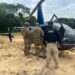 PRF apreende mais de 230 kg de drogas em helicóptero abandonado na BR-174