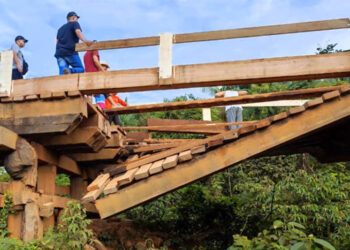 Presidente de Associação diz que corte de ponte na BR-319 é um atentado terrorista