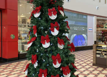 Manauara lança Árvore dos Sonhos para alegrar o Natal de pessoas em vulnerabilidade social